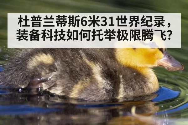 杜普兰蒂斯6米31世界纪录，装备科技如何托举极限腾飞？